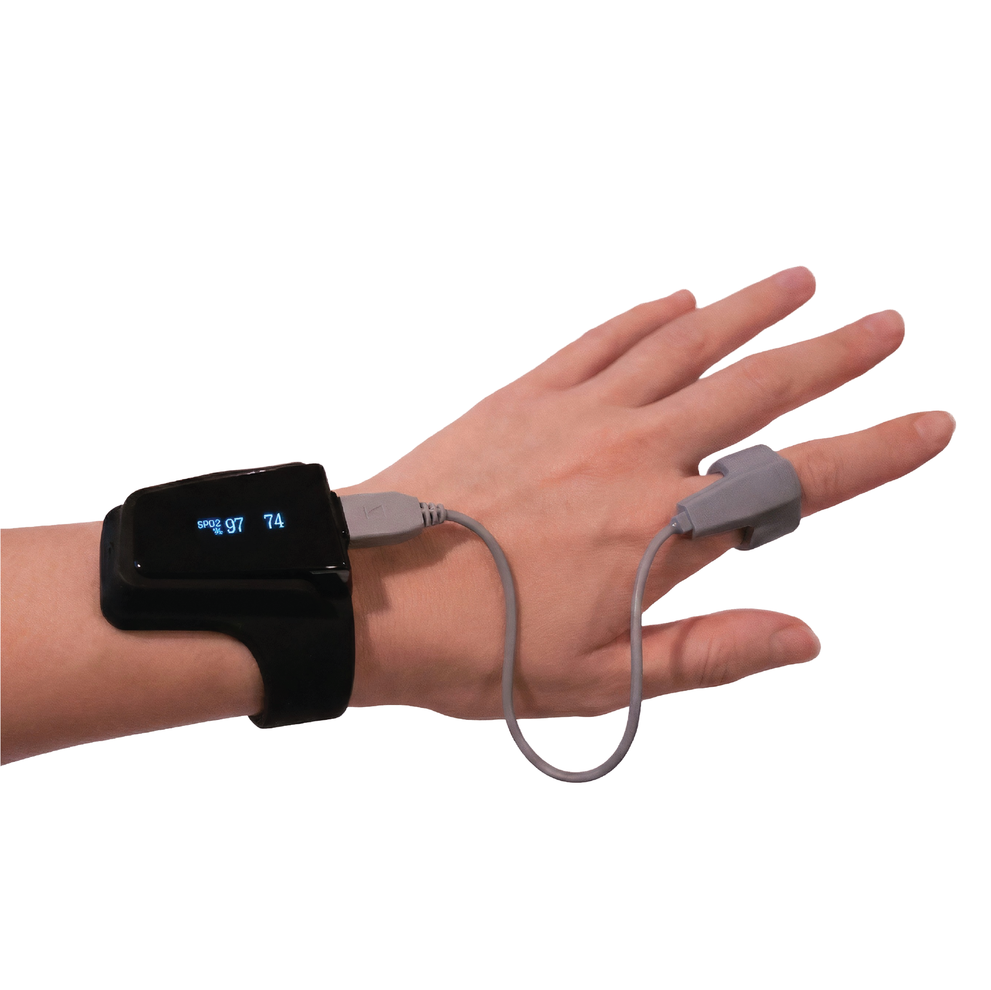 Sleep Test + Report + Interpretation